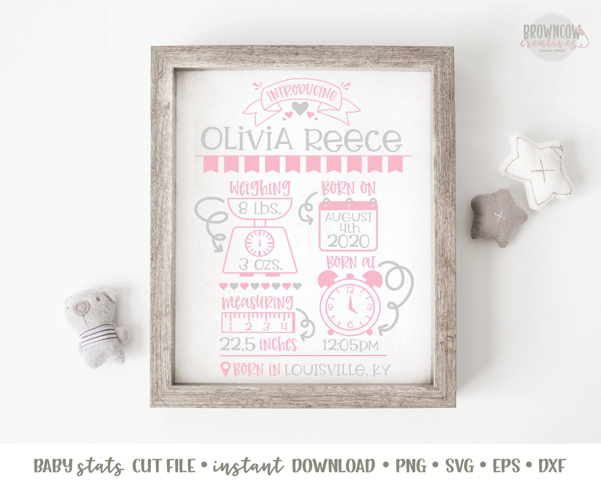 Baby Stats SVG File, Baby Stats Announcement Cut File, Girl Birth Announcement SVG, Baby Stats Template, Baby Girl Announcement SVG Cut File