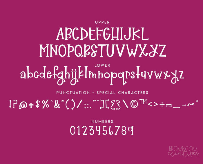 Raeberry Serif Font, Handwritten Font, Hand Lettered Font, Playful Font, Whimsical Font