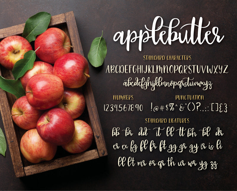 Applebutter Script Font, Handlettered Font, Hand Lettered Font, Handwritten Font, Hand Written Font, Commercial Use Font, Calligraphy Font